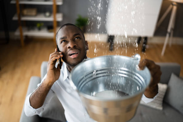 Best Water damage cleanup near me  in Hockinson, WA