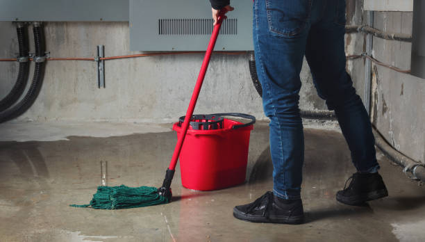 Best Ceiling water damage repair  in Hockinson, WA