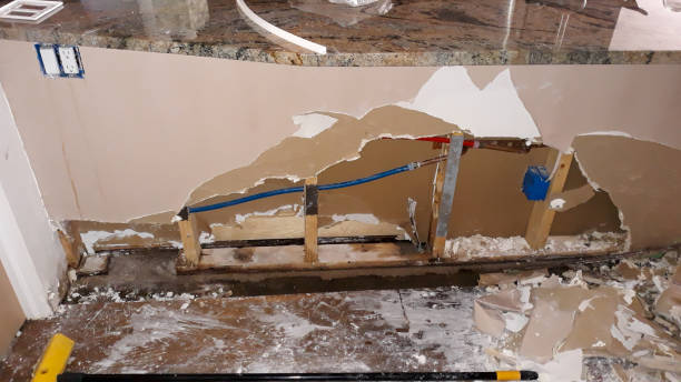 Best Water damage mitigation services  in Hockinson, WA