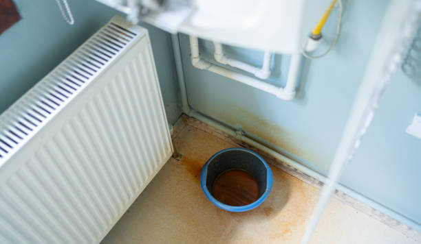 Best Water damage restoration process  in Hockinson, WA