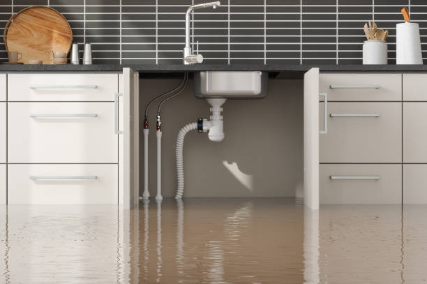 Best Fire Damage Restoration  in Hockinson, WA